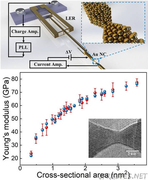 No Small Measure: Probing the Mechanics of Gold Contacts at the Nanoscale