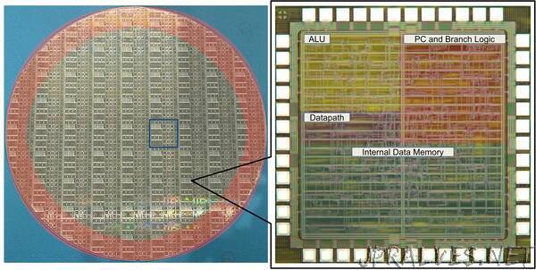 The First High-Yield, Sub-Penny Plastic Processor