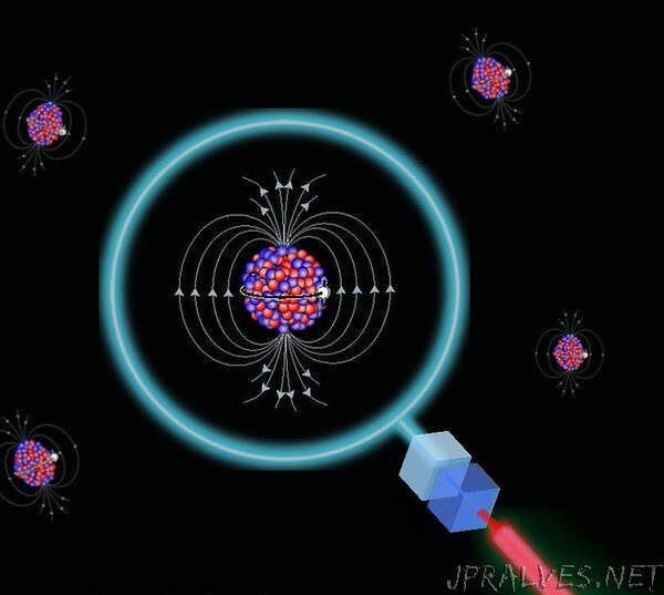 A new spin on nuclear magnetic moments