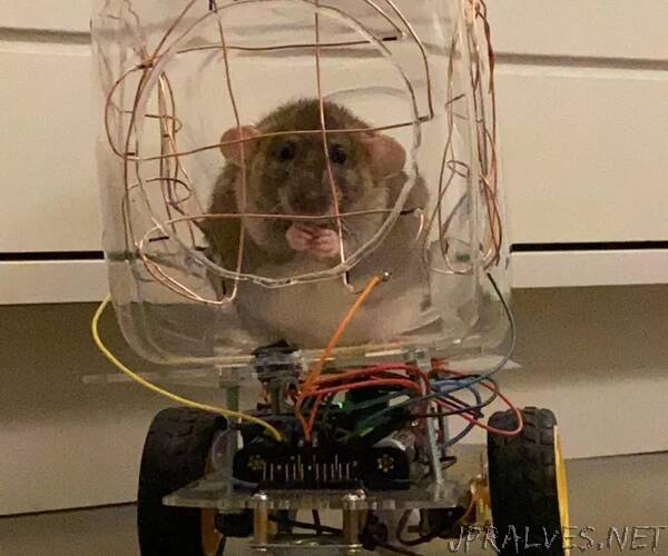 Build a Car With Touch Sensitive Steering for Your Rat