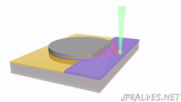 New photodetector design inspired by plant photosynthesis