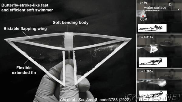 ‘Butterfly Bot’ is Fastest Swimming Soft Robot Yet