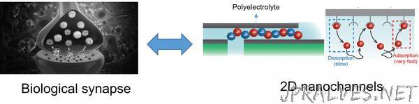 Graphene researchers discover long-term memory in 2D nanofluidic channels