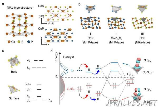 Tuning Local Coordination of Catalysts for Better Lithium-Sulfur Batteries