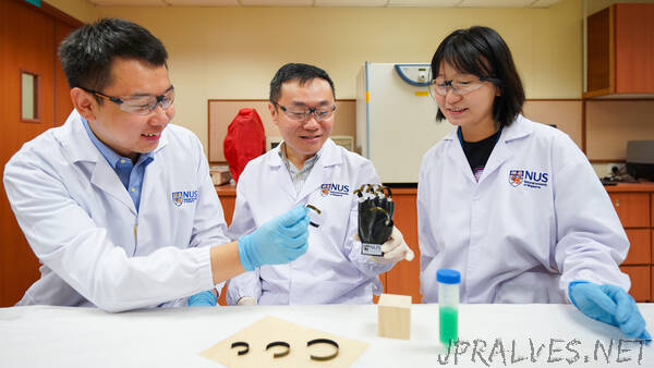 NUS researchers develop first-ever wooden robotic gripper that is driven by moisture, temperature and lighting