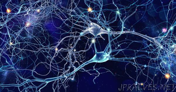 Mathematical theory predicts self-organized learning in real neurons