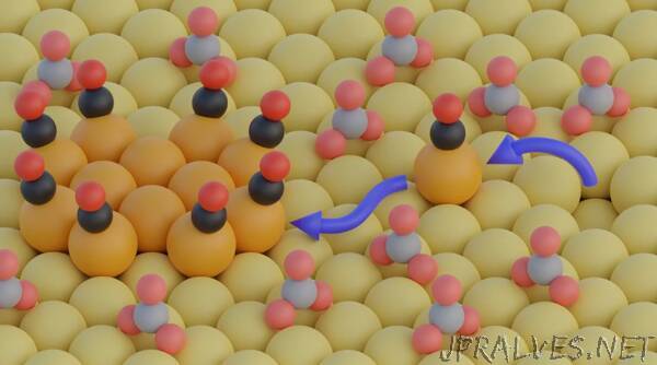 Microscopic Transformations of Electrocatalyst Surfaces