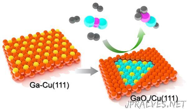 Watching a Bimetallic Catalytic Surface in Action