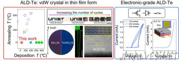 Atomic Layer Deposition Route to Scalable, Electronic-Grade van der Waals Te Thin Films