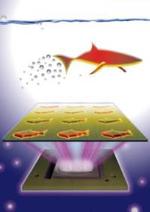 Microscopic fish are 3-D-printed to do more than swim