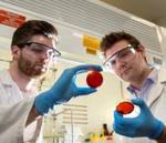 Flinders reseacher’s new material lays waste to mercury pollution