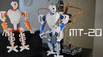 MT-20: Functional 3D Printed Robot