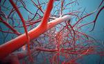 World’s first 3D blood vessel bio-printer could lead to the fabrication ...