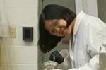 ORNL process could be white lightning to electronics industry