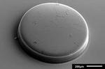 New device uses carbon nanotubes to snag molecules