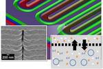ORNL cell-free protein synthesis is potential lifesaver