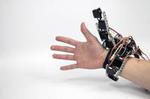 Robotic symbionts
