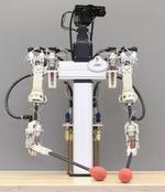 A Hybrid Hydrostatic Transmission and Human-Safe Haptic Telepresence Robot