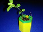 Customizable Watering Planter