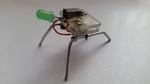 Insect Robot !!