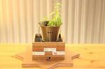 Smart Garden