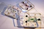 New microfluidic device offers means for studying electric field cancer therapy