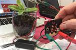 Micro Bit mini-computer heads overseas
