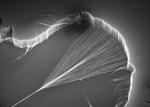 How Carbon Nanotubes Could Help Replace Silicon in Chip Fabrication ...