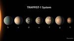 New Clues to Compositions of TRAPPIST-1 Planets