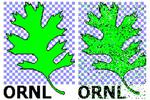 ORNL researchers break data transfer efficiency record