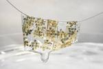 Flexible, organic and biodegradable: Stanford researchers develop new wave of electronics