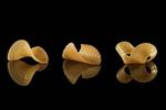 Researchers engineer shape-shifting noodles