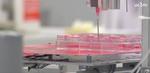 Spanish scientists make advances in 3D printing bone and cartilage tissue