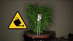 Plant Watering Warning