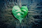 Engineers design “tree-on-a-chip”