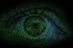 Peering into neural networks