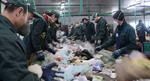 Bye-Bye, Landfills! Russian Scientists Create Biodegradable Polyethylene