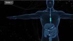 20,000 Leagues Into Your Bowels: How GPUs Are Helping to Diagnose Gastrointestinal Anomalies