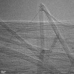 Long nanotubes make strong fibers