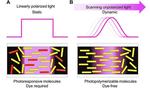 Photopolymerization-triggered molecular motion for flexible liquid crystal display