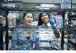 Optimizing carbon nanotube electrodes