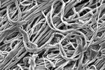 Ultrafine fibers have exceptional strength