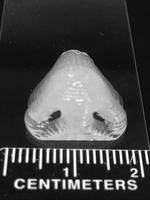 3-D printing improves cell adhesion and strength of PDMS polymer