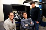 Engineers design artificial synapse for “brain-on-a-chip” hardware