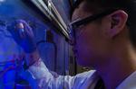 Quantum dots display promise for polymers