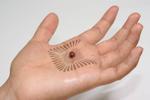 Stanford researchers develop stretchable, touch-sensitive electronics