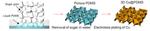 Sweet relief for lithium batteries’ dendrite problem