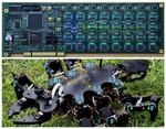 Tokyo Tech’s six-legged robots get closer to nature