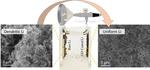 Graphene oxide nanosheets could help bring lithium-metal batteries to market