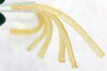 Polymer synthesis gets a jolt of caffeine